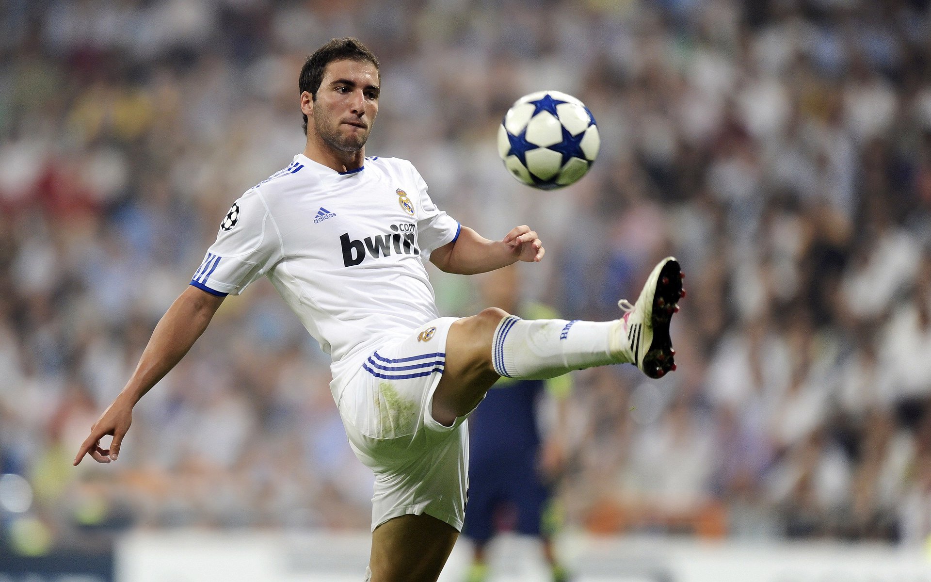 中国足球边锋角色多元化趋势追踪，国内边锋